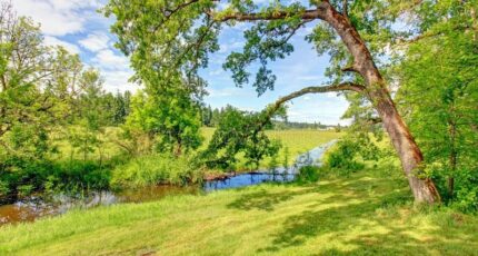 Sainte-Maure-de-Touraine Maison neuve - 2490639-10205annonce120250624s2xvu.jpeg Maisons France Confort