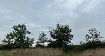 Castelnau-de-Montmiral Maison neuve - 2489502-2684annonce1202604204n7XT.jpeg Maisons France Confort