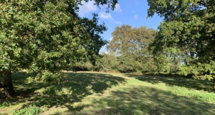 Cailhau Maison neuve - 2490370-11456annonce120260421hIIP2.jpeg Maisons France Confort