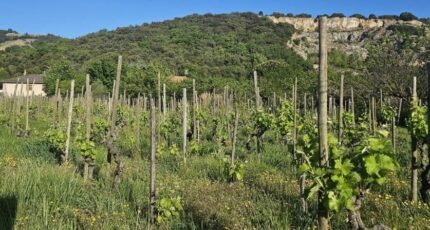 Cornas Terrain à bâtir - 2490395-6150annonce420260421QH7B2.jpeg Maisons France Confort