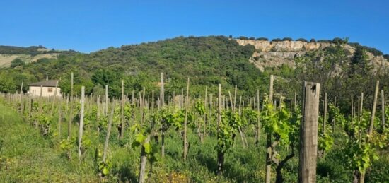 Terrain à bâtir à Cornas, Auvergne-Rhône-Alpes