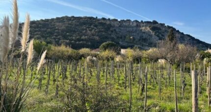 Cornas Maison neuve - 2490738-6150annonce220260421R6HC2.jpeg Maisons France Confort