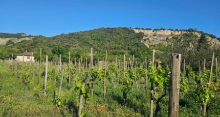 Cornas Maison neuve - 2490738-6150annonce32026042187lpt.jpeg Maisons France Confort