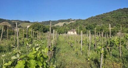 Cornas Maison neuve - 2490738-6150annonce5202604214pxLs.jpeg Maisons France Confort