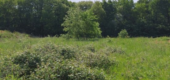 Terrain à bâtir à Estillac, Nouvelle-Aquitaine