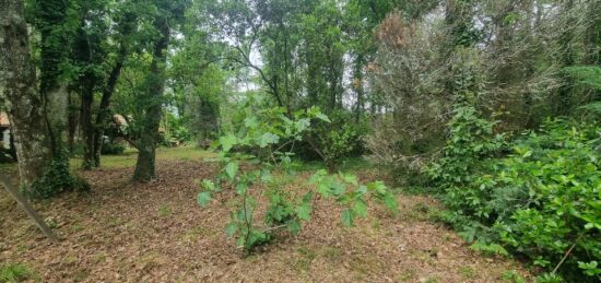 Terrain à bâtir à Saint-Aubin-de-Médoc, Nouvelle-Aquitaine