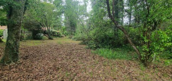 Terrain à bâtir à , Gironde