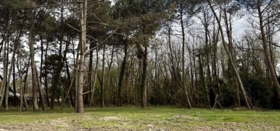 Terrain à bâtir à Saint-Aubin-de-Médoc, Nouvelle-Aquitaine