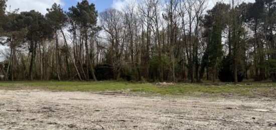 Terrain à bâtir à , Gironde