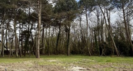 Saint-Aubin-de-Médoc Maison neuve - 2491030-11726annonce12026042159A3y.jpeg Maisons France Confort