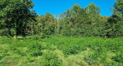 Saint-Aubin-de-Médoc Maison neuve - 2402861-11726annonce620260126MP9DX.jpeg Maisons France Confort