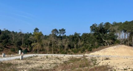 Labenne Maison neuve - 2464654-11828annonce120260323hG3RI.jpeg Maisons France Confort