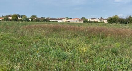 Gaillac Maison neuve - 2489795-2684annonce220260420DnNx3.jpeg Maisons France Confort