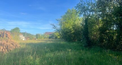 Albi Maison neuve - 2489868-11846annonce120260420gI3ZI.jpeg Maisons France Confort