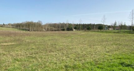 Liorac-sur-Louyre Terrain à bâtir - 2409290-7107annonce320260127xTXKK.jpeg Maisons France Confort