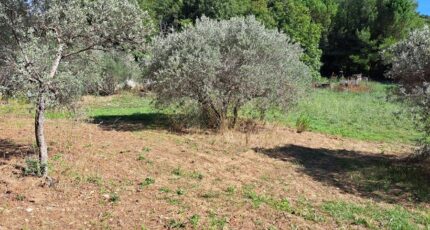 Ventabren Terrain à bâtir - 2491285-11041annonce320260421huRxT.jpeg Maisons France Confort
