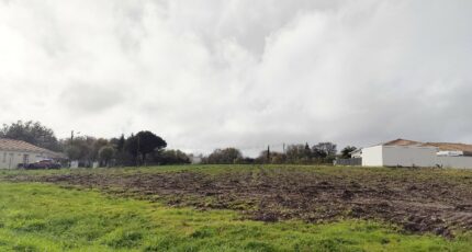 Cussac-Fort-Médoc Maison neuve - 2491501-11260annonce220260422bTCi4.jpeg Maisons France Confort