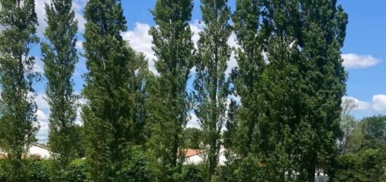 Terrain à bâtir à , Vendée