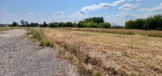 Terrain à bâtir à Replonges, Auvergne-Rhône-Alpes