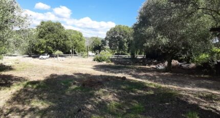 Draguignan Terrain à bâtir - 2491999-10295annonce320260422QBzFv.jpeg Maisons France Confort