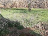Terrain à bâtir à La Motte (83920) 2492185-10295annonce220260422QwhF3.jpeg Maisons France Confort