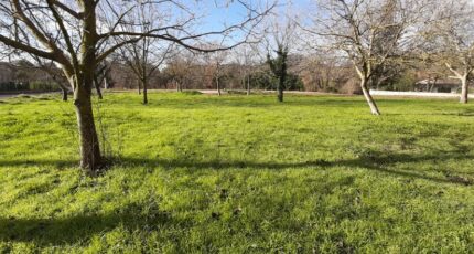 La Motte Maison neuve - 2492229-10295annonce120260422ult7W.jpeg Maisons France Confort