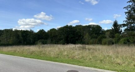 Béhoust Terrain à bâtir - 2491862-11790annonce120260422x6bGR.jpeg Maisons France Confort