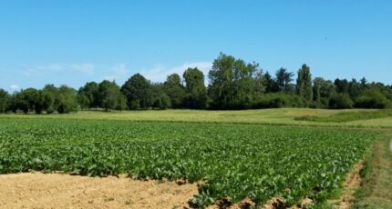 Boullay-les-Troux Terrain à bâtir - 2492134-11790annonce220260422wog4v.jpeg Maisons France Confort