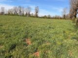 Terrain à bâtir à Thérondels (12600) 2492284-6000annonce120260422B6Bkf.jpeg Maisons France Confort