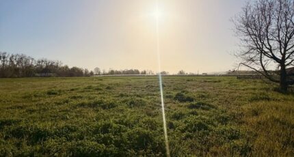 Lamonzie-Saint-Martin Terrain à bâtir - 2492106-11709annonce42026042282PaP.jpeg Maisons France Confort