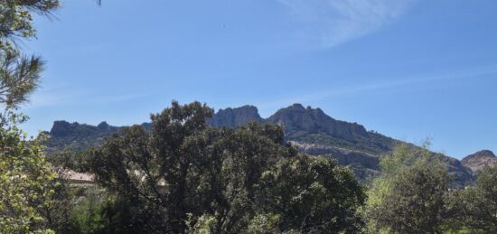 Terrain à bâtir à Roquebrune-sur-Argens, Provence-Alpes-Côte d'Azur