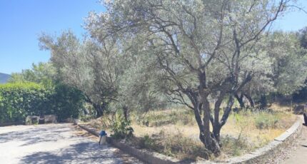 Pignans Maison neuve - 2492299-11039annonce3202604221Mqms.jpeg Maisons France Confort