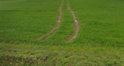 Wancourt Maison neuve - 2491108-6159annonce3202604213mpTu.jpeg Maisons France Confort