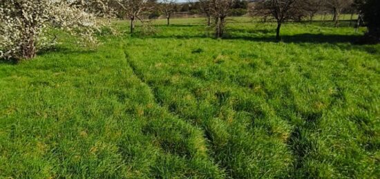 Terrain à bâtir à Houlette, Nouvelle-Aquitaine
