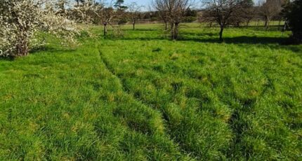 Houlette Maison neuve - 2467521-11268annonce120260325QW7et.jpeg Maisons France Confort