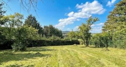 Bailly-Romainvilliers Maison neuve - 2444891-11374annonce12026030247HA4.jpeg Maisons France Confort