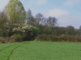 Maison à construire à Pontault-Combault (77340) 2454692-11374annonce120260312QfHIz.jpeg Maisons France Confort