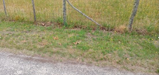 Terrain à bâtir à Sanguinet, Nouvelle-Aquitaine
