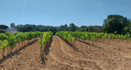 Cogolin Maison neuve - 2492450-11157annonce220260423Wwqmd.jpeg Maisons France Confort