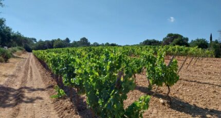 Cogolin Maison neuve - 2492450-11157annonce320260423sRmFH.jpeg Maisons France Confort