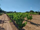 Terrain à bâtir à Cogolin (83310) 2492449-11157annonce320260423sRmFH.jpeg Maisons France Confort