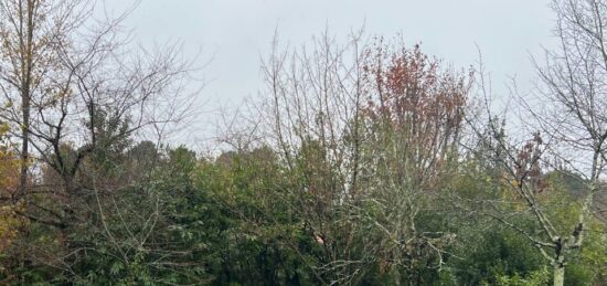 Terrain à bâtir à Ambarès-et-Lagrave, Nouvelle-Aquitaine