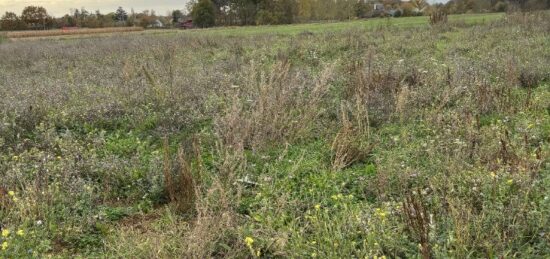 Terrain à bâtir à Baugé, Pays de la Loire