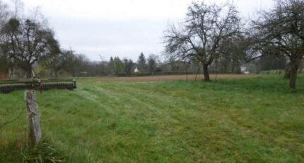 Onjon Terrain à bâtir - 2439596-4032annonce120260224Qisqh.jpeg Maisons France Confort