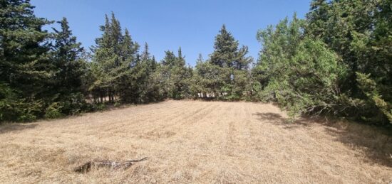 Terrain à bâtir à Grillon, Provence-Alpes-Côte d'Azur