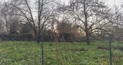 Le Born Terrain à bâtir - 2491652-11356annonce120260422zeGhT.jpeg Maisons France Confort