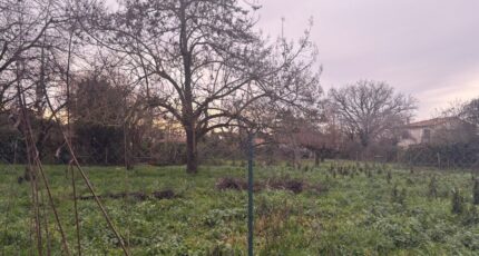 Le Born Terrain à bâtir - 2491652-11356annonce320260422L7qpv.jpeg Maisons France Confort