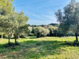Terrain à bâtir à Ollioules (83190) 2403512-4866annonce320260123bn5Dk.jpeg Maisons France Confort