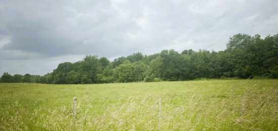 Terrain à bâtir à Marcenais, Nouvelle-Aquitaine