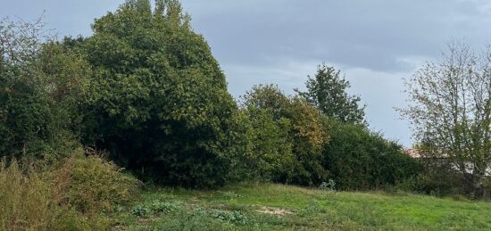 Terrain à bâtir à Cavignac, Nouvelle-Aquitaine